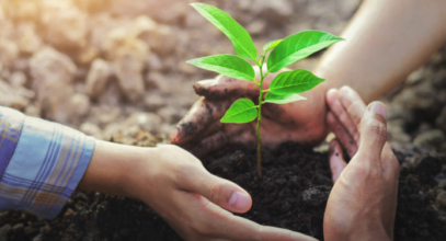 sustainability_AdobeStock_227308714_E
