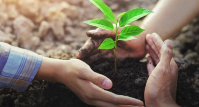 sustainability_AdobeStock_227308714_E