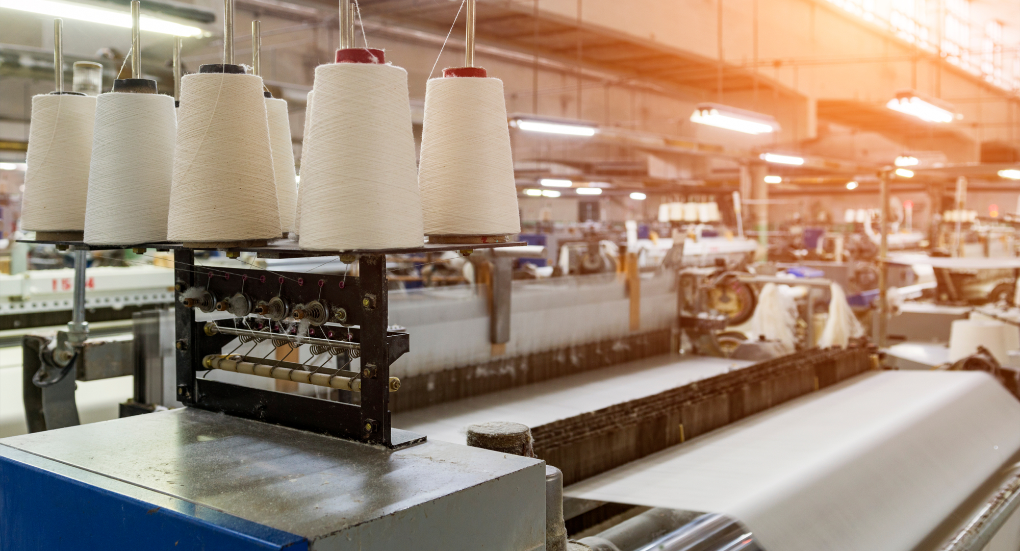 Цагаан алт хөтөлбөр