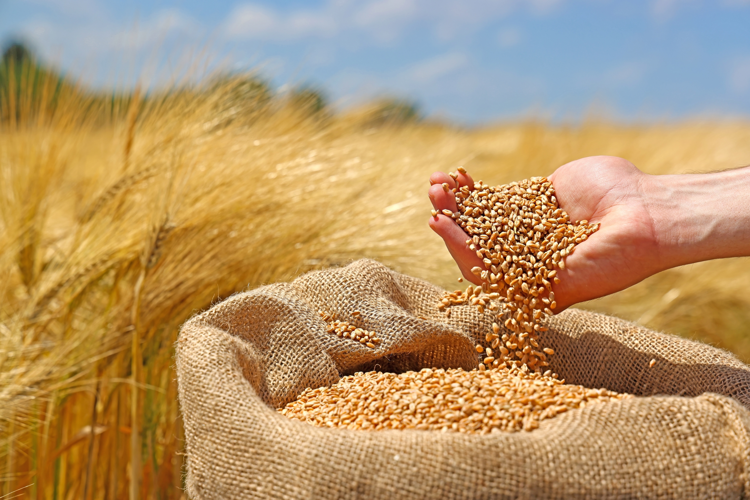 “АТАР-IV” Тариалангийн үйлдвэрлэл эрхлэгчдийг дэмжих